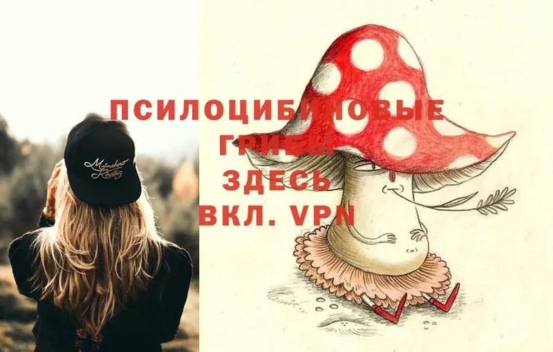 Галлюциногенные грибы MAGIC MUSHROOMS Дальнереченск