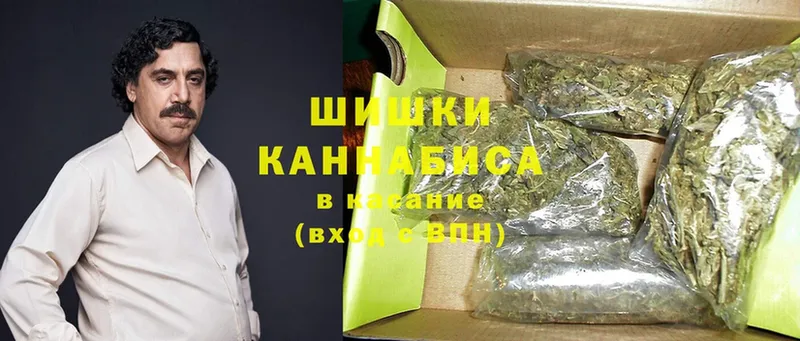 Бошки марихуана Bruce Banner  Дальнереченск 